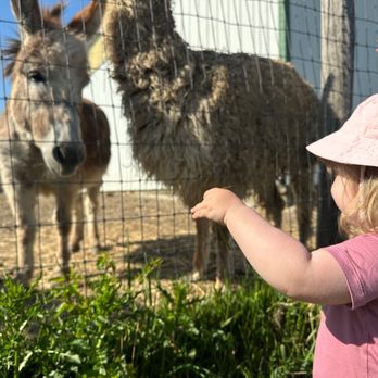 Kamins Farm Sanctuary - Animal Shelters Near Me