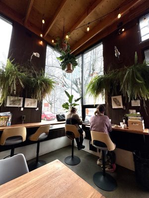 Fairlane Coffee by null