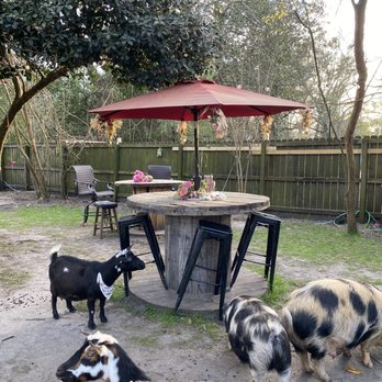 FLOWERTOWN CHARM - Updated January 2026 - 67 Photos & 11 Reviews - 225