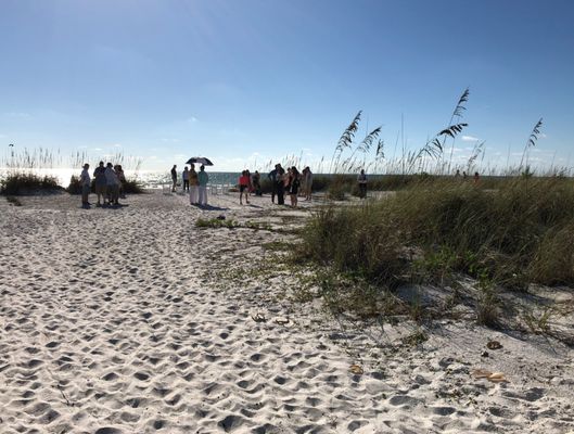 Bean Point Beach by null