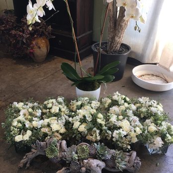 Sea Lily Malibu - Flowers and succulent drift wood for baby shower I hosted - Florists Near Me - Malibu, California Sea Lily Malibu - Flowers and succulent drift wood for baby shower I hosted - Florists Near Me - Malibu, California
