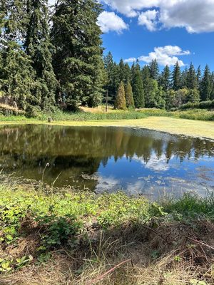 Lee Family Farms by null