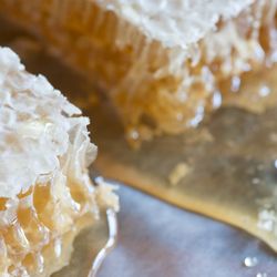 State Street Honey - Fresh Honey Comb