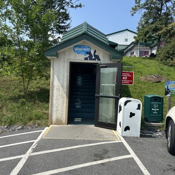 Ben & Jerry's - The entrance to tasty ice cream - Ice Cream & Frozen Yogurt Near Me - Jeffersonville, Vermont