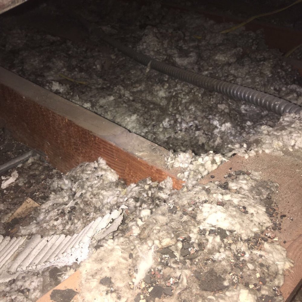 Atticare - Dave was amazing - Insulation Installation Near Me - Burbank, California Atticare - Dave was amazing - Insulation Installation Near Me - Burbank, California
