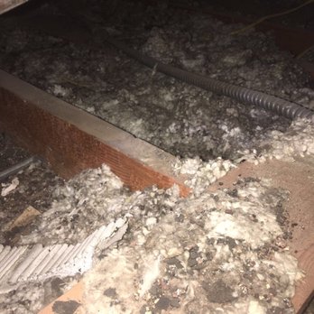 Atticare - Dave was amazing - Insulation Installation Near Me - Burbank, California