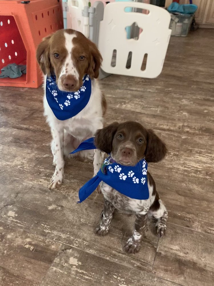 LAKEWAY ANIMAL MEDICAL & SURGICAL CLINIC Updated September 2024