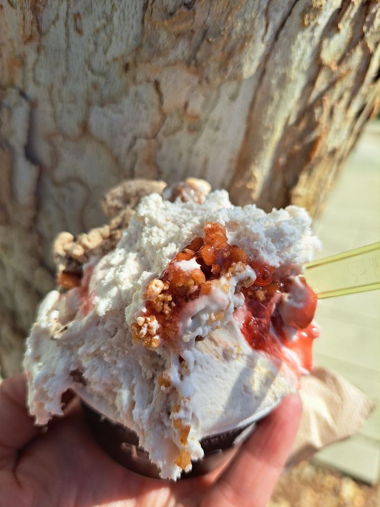 EscoGelato