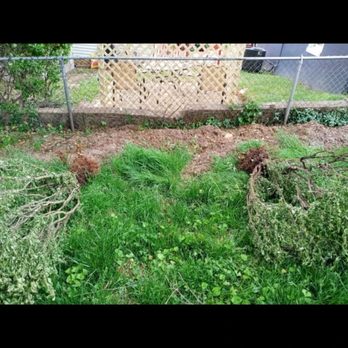 Mylestone Landscaping - Before & After Slides - Lawn Services Near Me