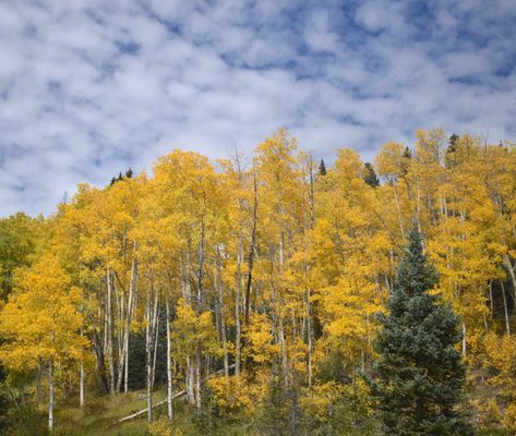 Cumbres & Toltec Scenic Railroad by null