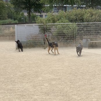 The Fields Off-Leash Dog Area - Dog Parks Near Me - Portland, Oregon