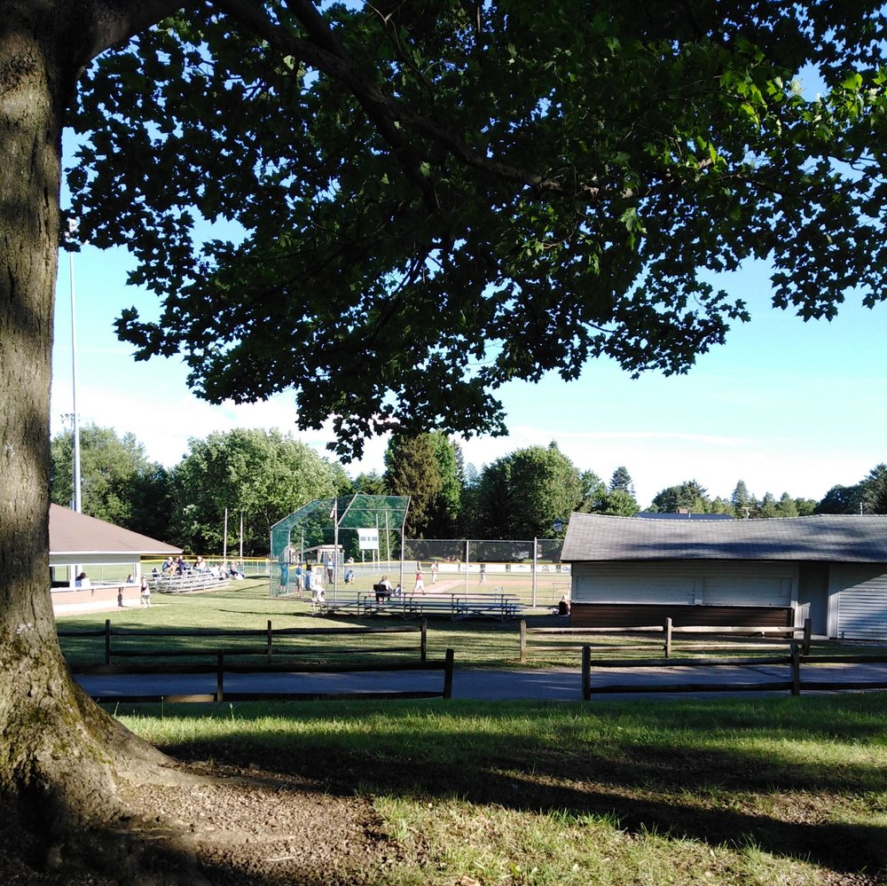 CONCORD COMMUNITY PARK Updated March 2024 12779 Buffalo Rd