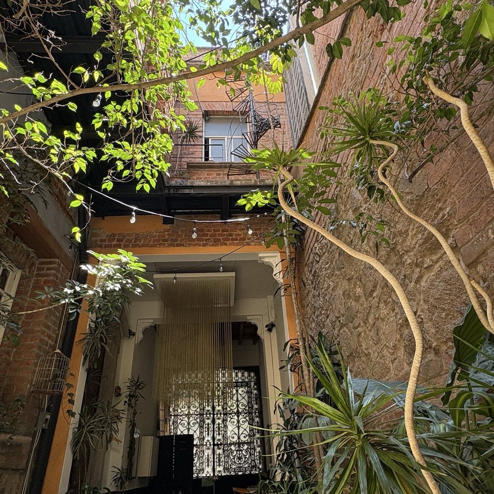 El Patio77 - Bed & Breakfast Near Me - México, D.F., DIF