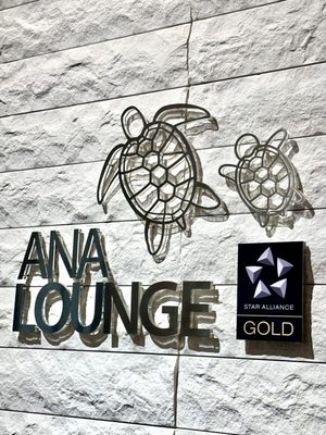 ANA suite lounge by null