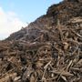 Photo of GREEN COW COMPOST