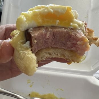 Lemon Leaf Cafe - The Classic Eggs Benedict - Breakfast & Brunch Near Me - Largo, Florida