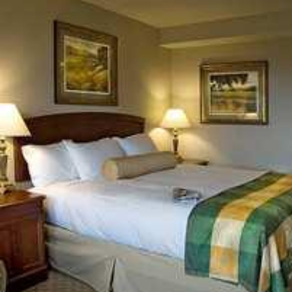 Hilton Concord - Hotels Near Me - Concord, California