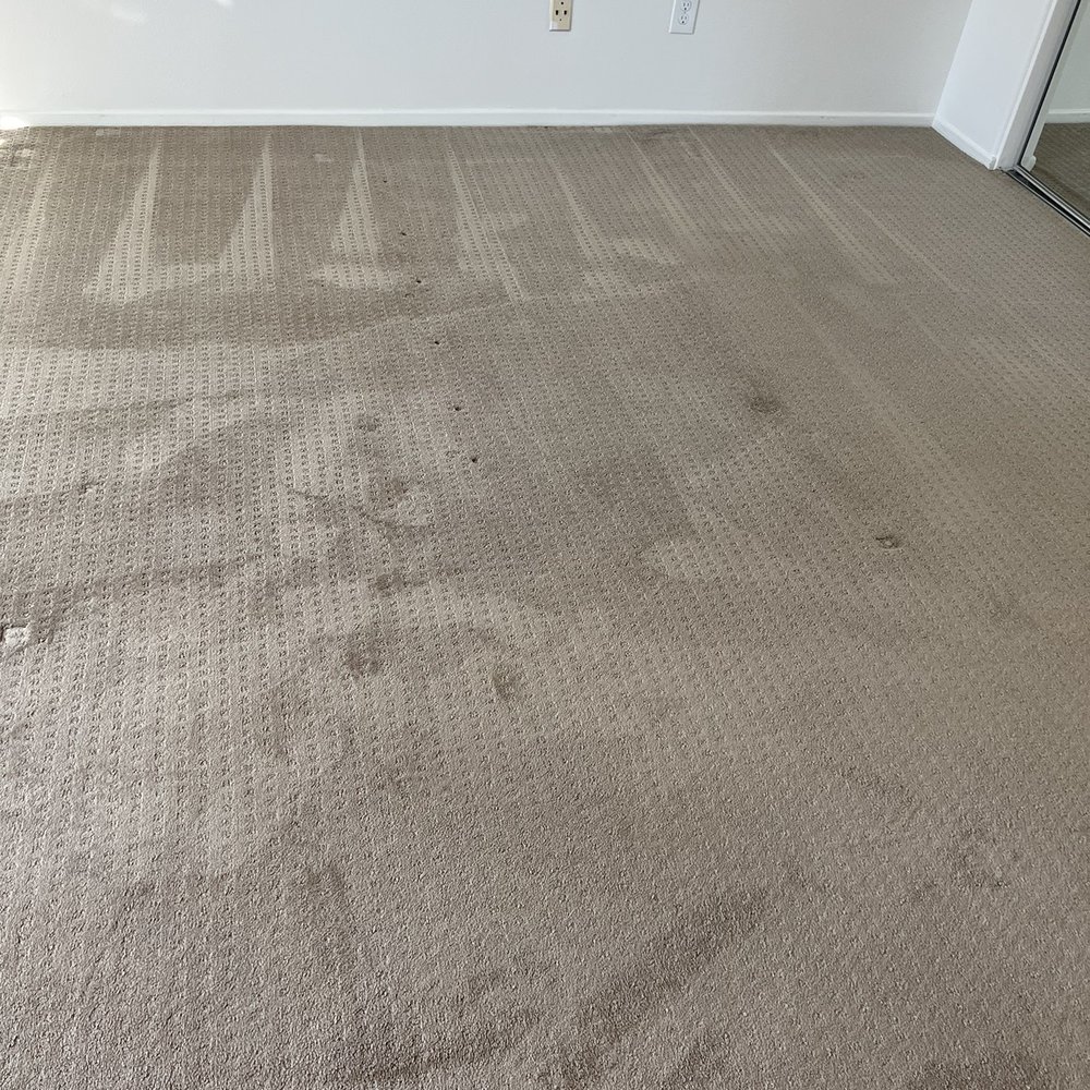 Stanley Steemer - Carpet Cleaning Near Me - Oxnard, California