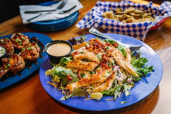 Blue Moose Burgers & Wings by null