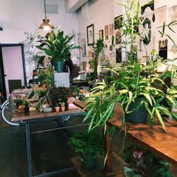 Rosehouse