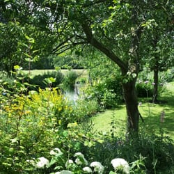 Caudwells Country Parlour - View from the Gift Shop