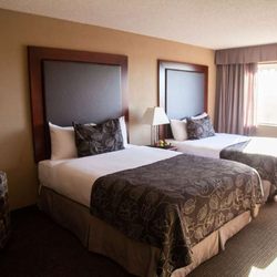 Medicine Hat Lodge - Guest room