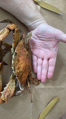 Jac's Crabs & Seafood by null