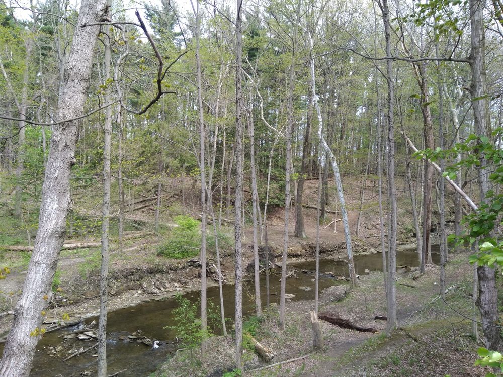 PINE QUARRY PARK Updated September 2024 11 Photos 8000 Kingsley