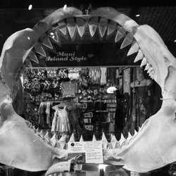 Whaler's Locker - Bite me