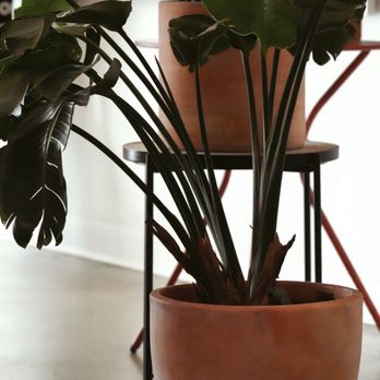 Proyecto Diaz Coffee - Coffee & Tea Near Me - Oakland, California