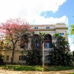 Villa Comunale - Villa Comunale di Napoli