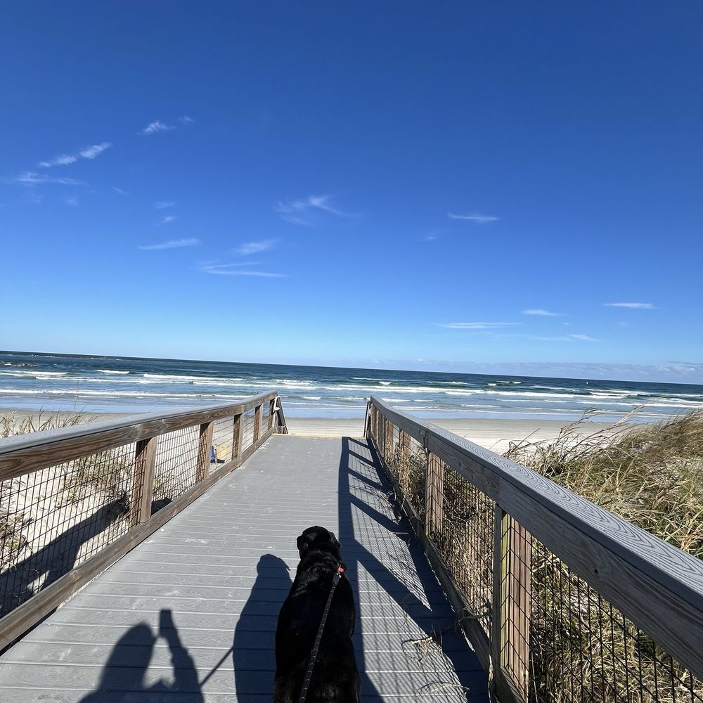 Smryna Dunes Park - Ocean - Parks Near Me - New Smyrna Beach, Florida