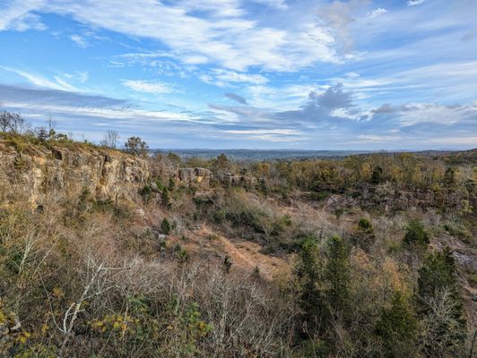 Ruffner Mountain by null