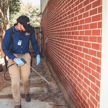 Alta Pest Control - Pest Control Near Me - Grand Prairie, Texas Alta Pest Control - Pest Control Near Me - Grand Prairie, Texas