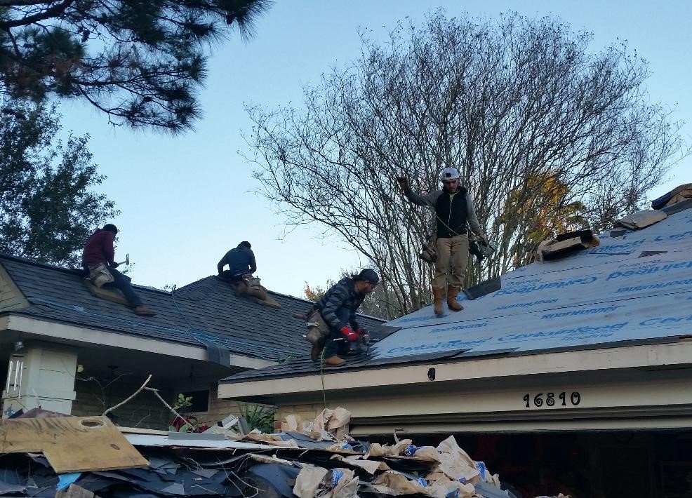 Slide of Doozy Roofs