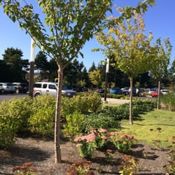 Bay Area Hospital
