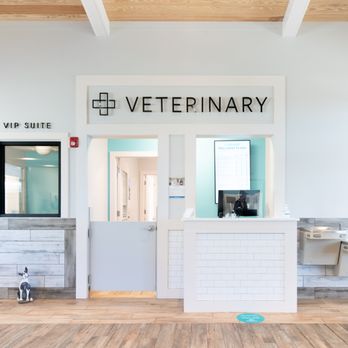 Pet Paradise St. Johns - WGV - Pet Boarding Near Me - St. Augustine, Florida Pet Paradise St. Johns - WGV - Pet Boarding Near Me - St. Augustine, Florida