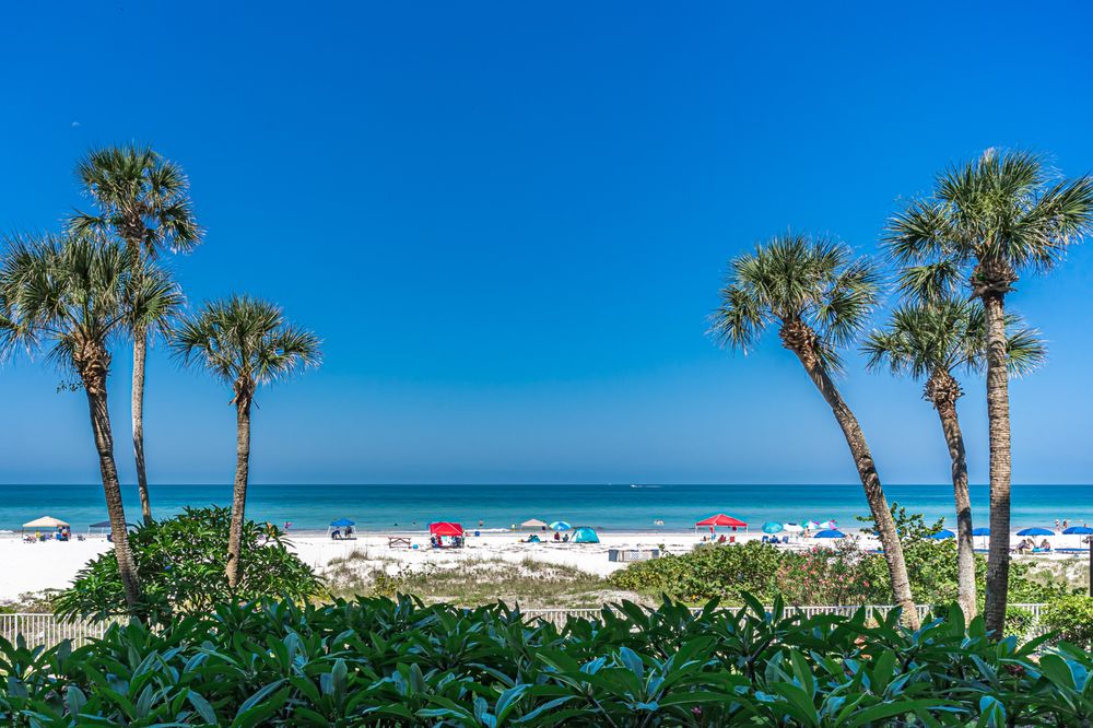 PLUMLEE GULF BEACH REALTY Updated August 2024 56 Photos & 18