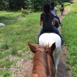 Saddle Ridge Riding Center - Semi scenic trail. There wasn't much of a view besides this.
