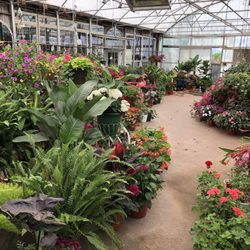 Lonesome Pine Nursery