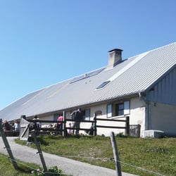 Buvette du Mont Tendre - L'alpage du Mont Tendre