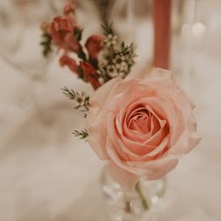 Toolbox Florals By Dijana