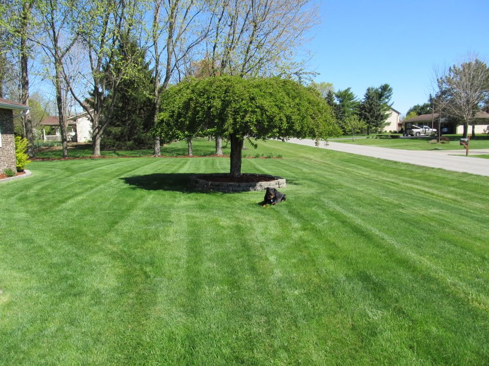 WEED BUSTERS Updated September 2024 697 Hill Rd N, Pickerington