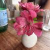Koi Palace Express gift card