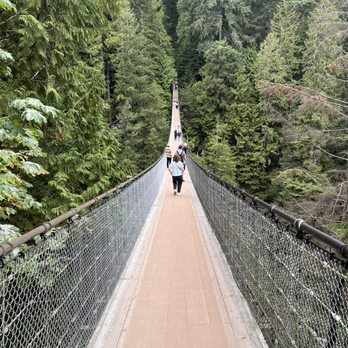 Capilano Suspension Bridge Park - Parks Near Me - North Vancouver, British Columbia