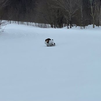 Bearpen Mountain Sports - The exhilarating sled mentioned in my review! - Sledding Near Me - Prattsville, New York Bearpen Mountain Sports - The exhilarating sled mentioned in my review! - Sledding Near Me - Prattsville, New York