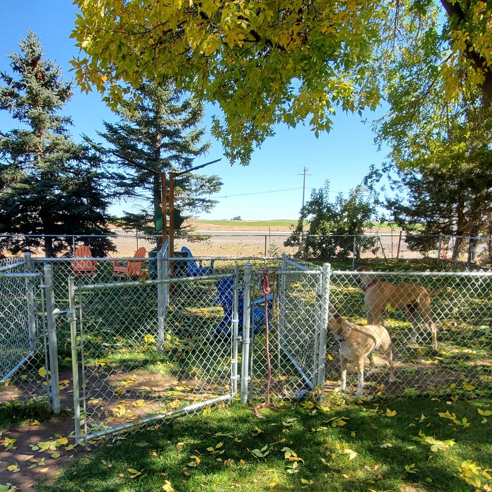 2 section dog park 2 section dog park