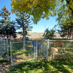 2 section dog park 2 section dog park