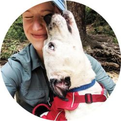 Furkids - Our Programs and Services