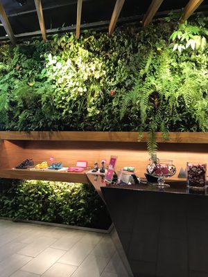 Galeria Melissa NY by null